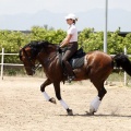 Club hípico Mediterráneo