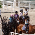 Club hípico Mediterráneo