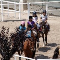 Club hípico Mediterráneo