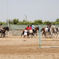 Club hípico Mediterráneo