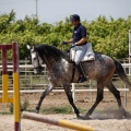 Club hípico Mediterráneo
