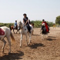 Club hípico Mediterráneo