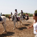 Club hípico Mediterráneo