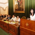 Castellón, Cultura 2013