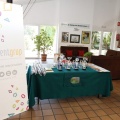 Castellón, Eventgrup 2013