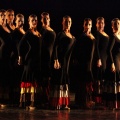 XV Cita con la Danza en Benicàssim