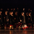 XV Cita con la Danza en Benicàssim
