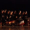 XV Cita con la Danza en Benicàssim