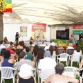 Castellón, Rototom 2013 Benicàssim