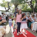 Fiesta solidaria de la Asociación síndrome de RETT CASTELLON