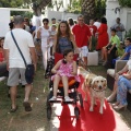 Fiesta solidaria de la Asociación síndrome de RETT CASTELLON