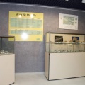 Castellón, Els Fòsils de la provincia de Castelló