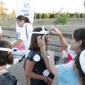 Castellón, Actividades Turismo 2013