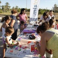 Castellón, Actividades Turismo 2013
