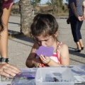 Castellón, Actividades Turismo 2013