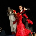Castellón, Festival de Bailes de Salón, Benicàssim