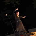Castellón, Festival de Bailes de Salón, Benicàssim