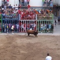 Castellón, Nules 2013