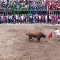 Castellón, Nules 2013