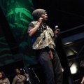 Castellón, Rototom Sunsplash, Benicàssim