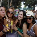 Oneday Festival, Marina d´Or