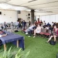 Rototom Sunsplash