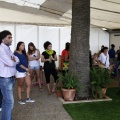 Rototom Sunsplash