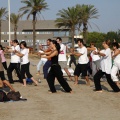 I Festival de Yoga