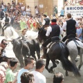 Entrada de Toros y Caballos de Segorbe