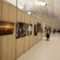 III Semana del Arte Marina d´Or