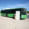 Nuevos autobuses urbanos