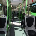 Nuevos autobuses urbanos