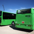 Nuevos autobuses urbanos