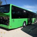 Nuevos autobuses urbanos