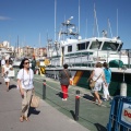Castellón, 