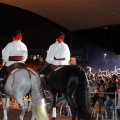 Pedro Navarro, espectáculo ecuestre