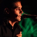 Pedro Navarro, espectáculo ecuestre