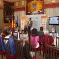 Castellón, deportes 2013