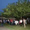 Laude British School of Vila-real