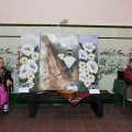 Exposición de pintura e indumentaria costumbrista