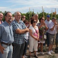 Sant Roc de Canet