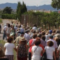 Sant Roc de Canet