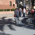 Castellón, Benicàssim 2013