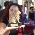 Castellón, Benicàssim 2013