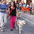 Castellón, Benicàssim 2013