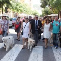 Castellón, Benicàssim 2013