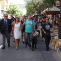 Castellón, Benicàssim 2013