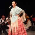 Gran Gala del folklore aragonés