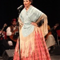 Gran Gala del folklore aragonés