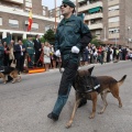 Castellón, Guardia Civil 2013
